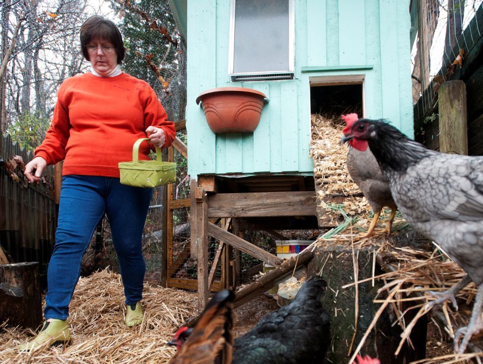 Lynchburg area residents return to food roots with chicken roosts
