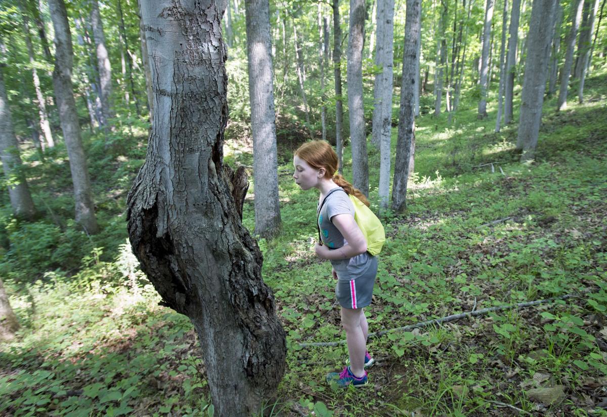 Claytor Nature Center Camp Claytor Nature Center Camp