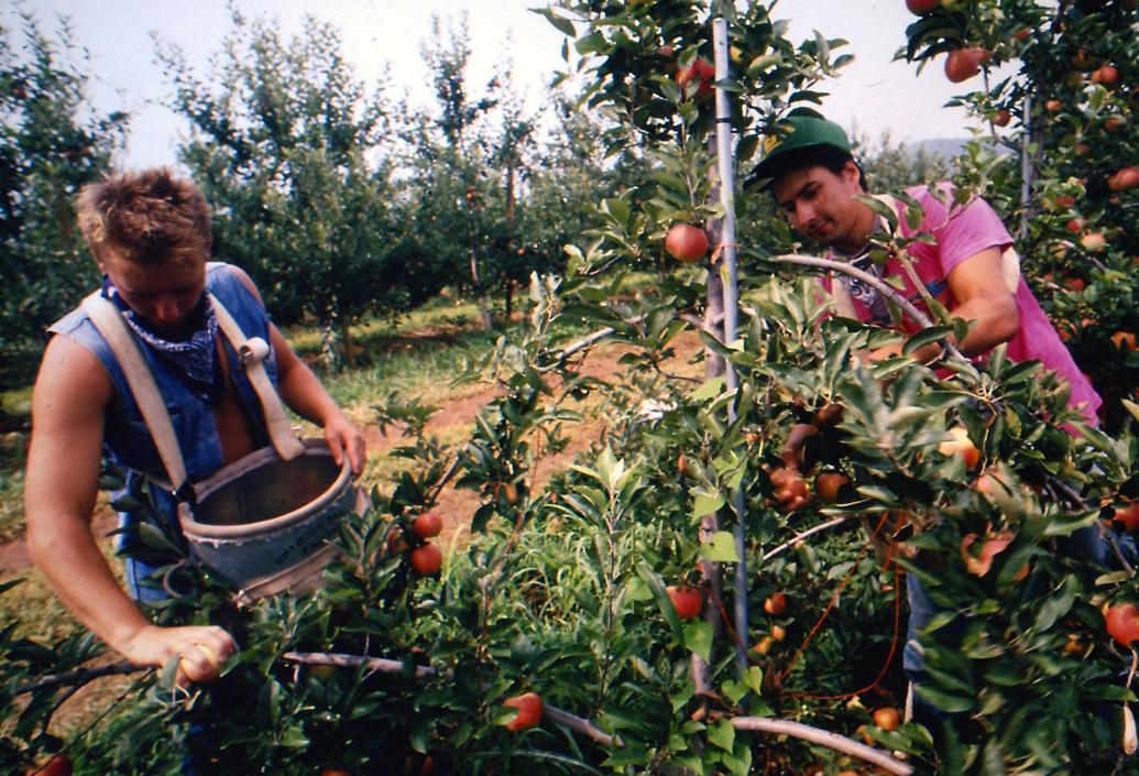 From the archives The 1990s in the Lynchburg area