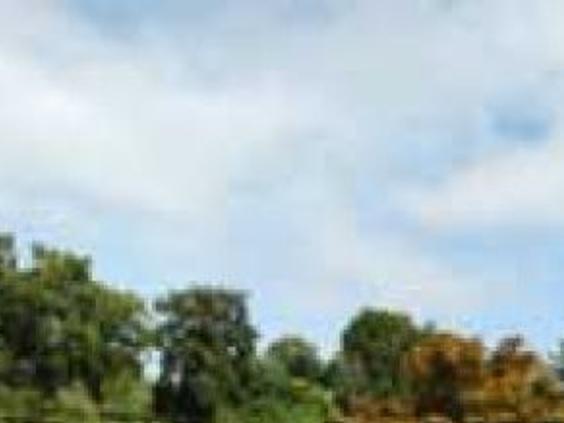 Olde Liberty Station Goes Up In Flames Local News Newsadvance Com