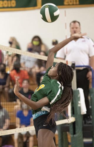NELSON Varsity VB. 3.JPG