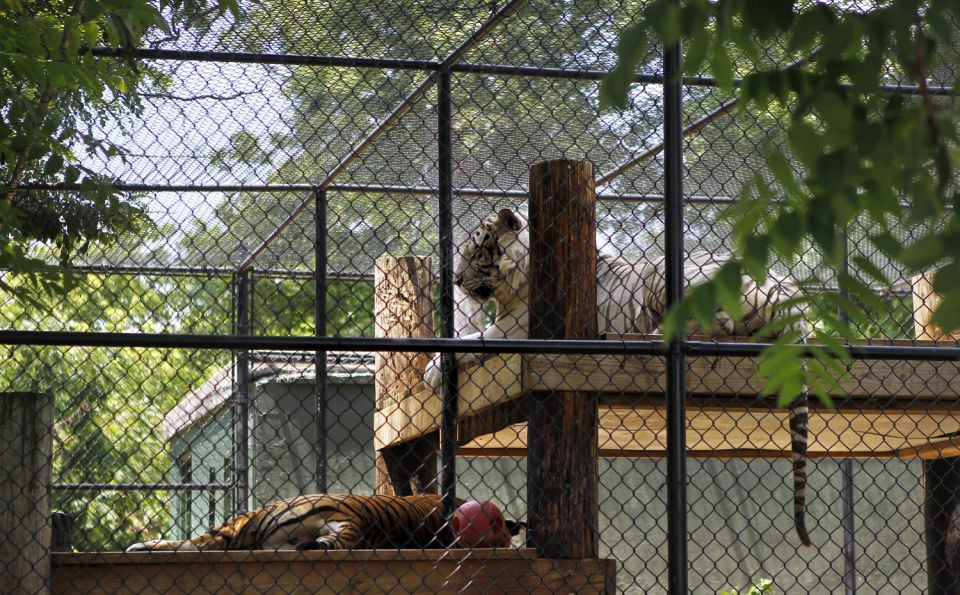 Natural Bridge Zoo answers allegations of animal maltreatment State