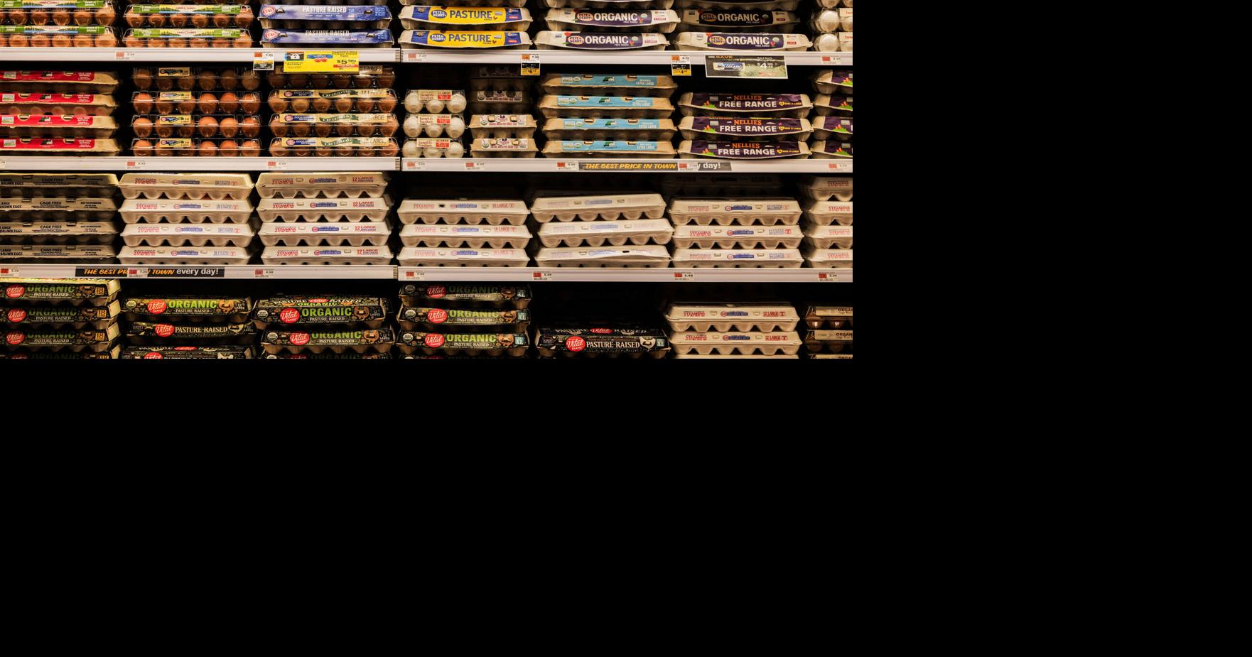 PUBLIC HEALTH Are food recalls on the rise? A look at what the data reveals Dian Zhang USA Today Sep 2, 2026 20 mins ago