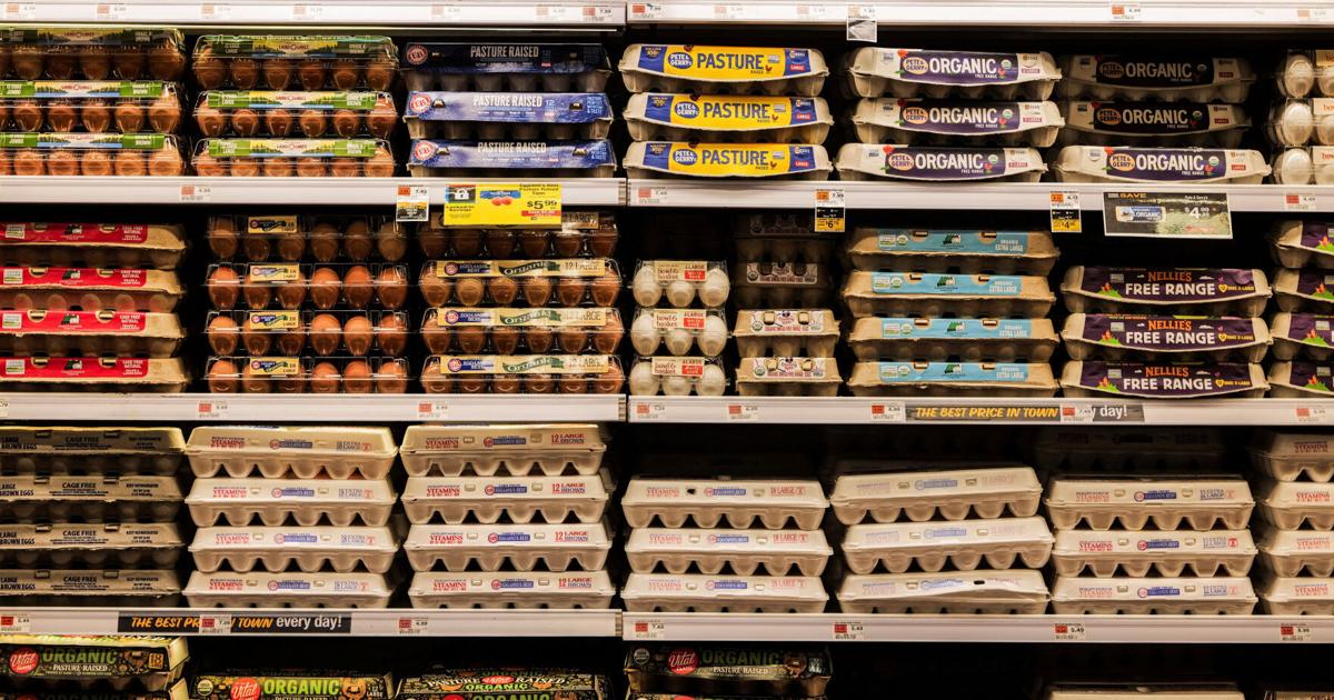 PUBLIC HEALTH Are food recalls on the rise? A look at what the data reveals Dian Zhang USA Today Sep 2, 2026 20 mins ago