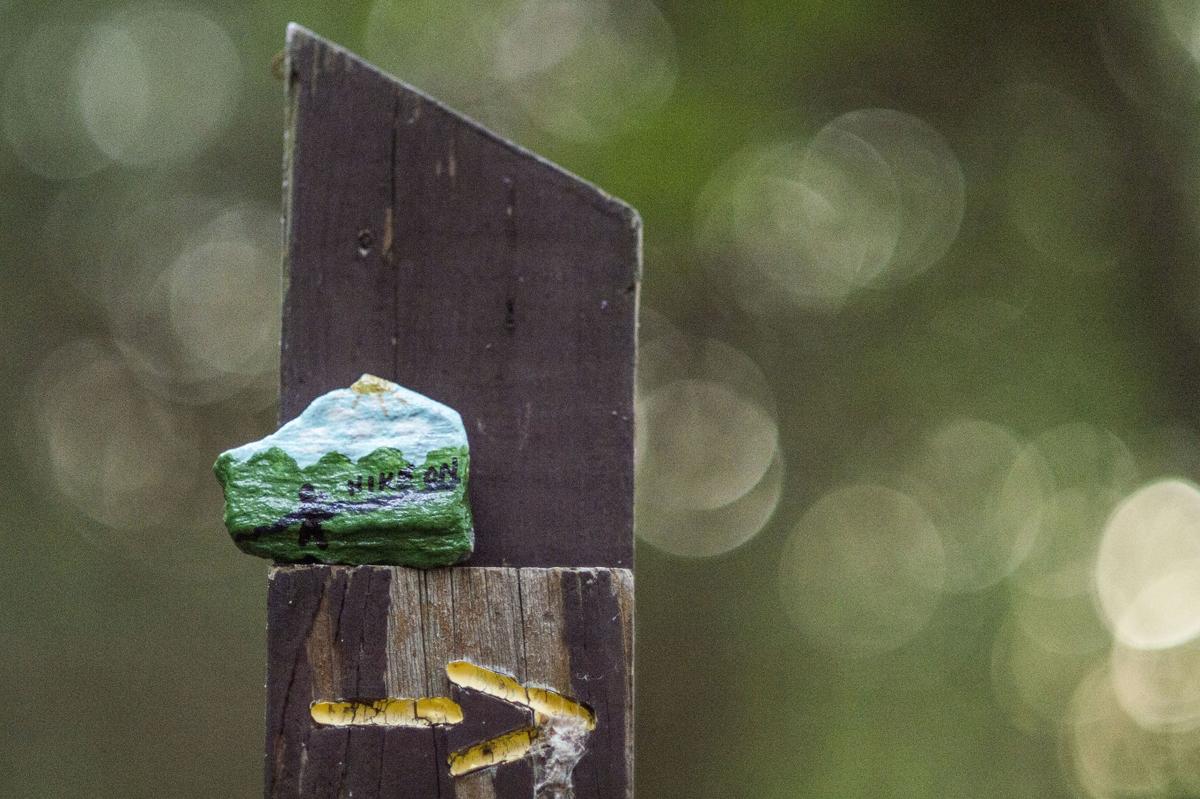 Painting Hiding Rocks A Way To Give Back And Leave A Little Love