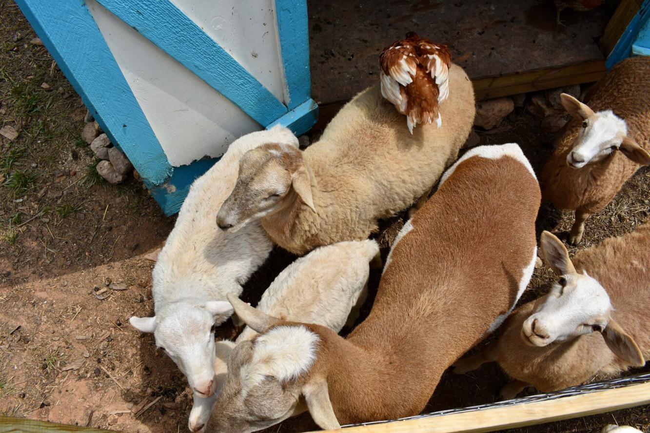 no paperwork personal loans