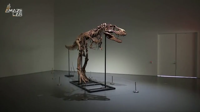 A T. Rex Sold for $31.8 Million, and Paleontologists Are Worried