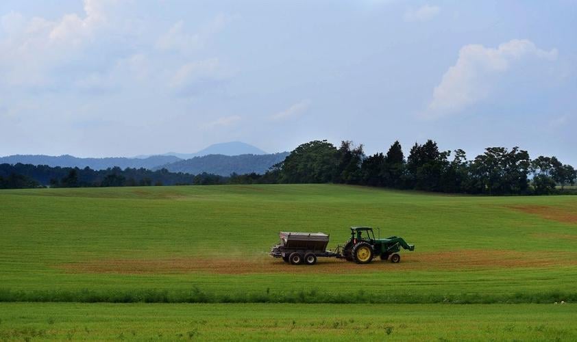 Lockn' 2014 preparations