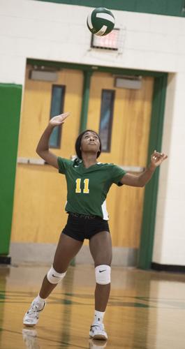 NELSON Varsity VB. 7.JPG