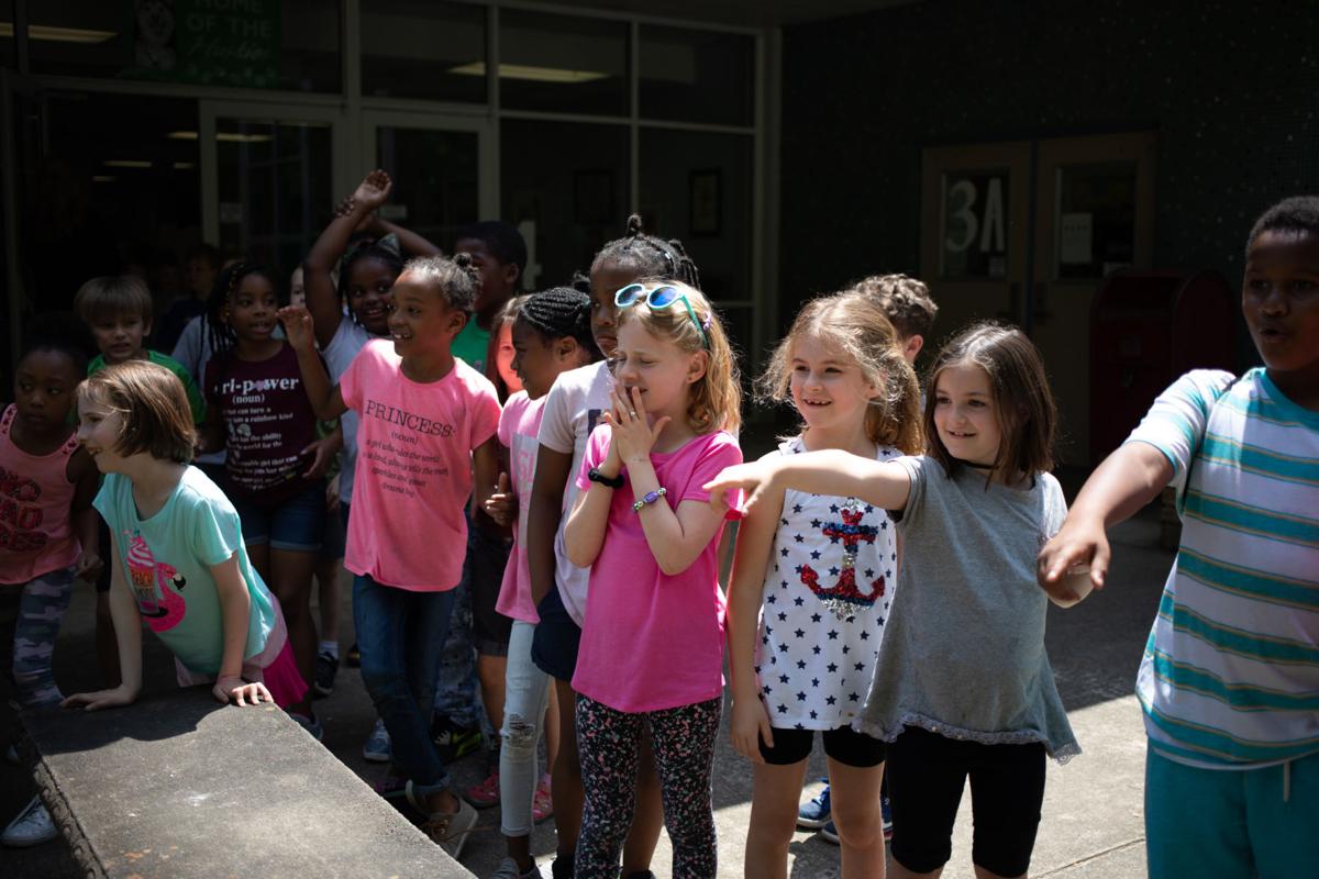 Photos Calves Pay A Visit To Bedford Hills Elementary School