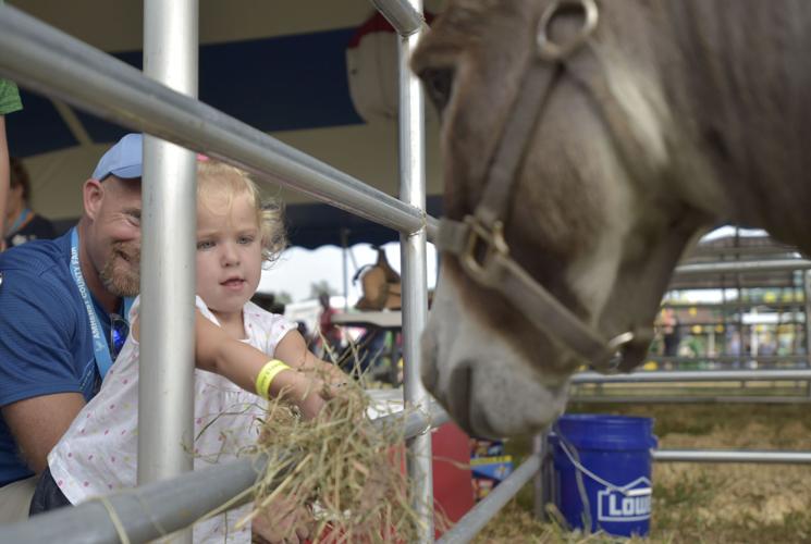 LNA 08172018 Amherst County Fair08