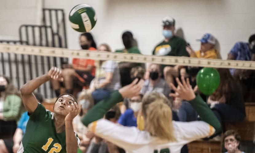 NELSON Varsity VB. 9.JPG