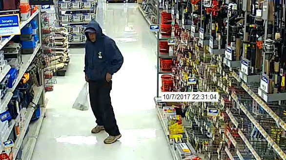 Amherst deputies looking for two in stolen credit cards case