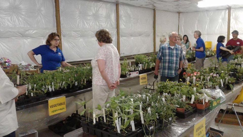 Garden Fest Marks A Decade In Amherst Lifestyles Newsadvance Com