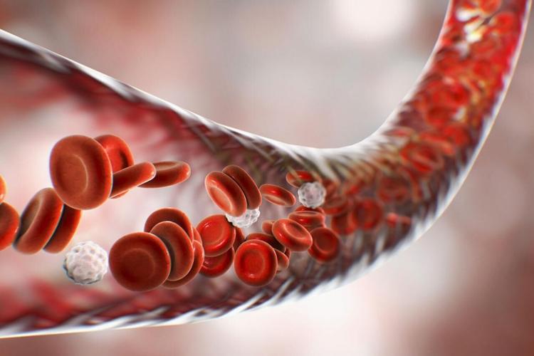 The 3 Best Nitric Oxide Booster Supplements For Men’s Wellness