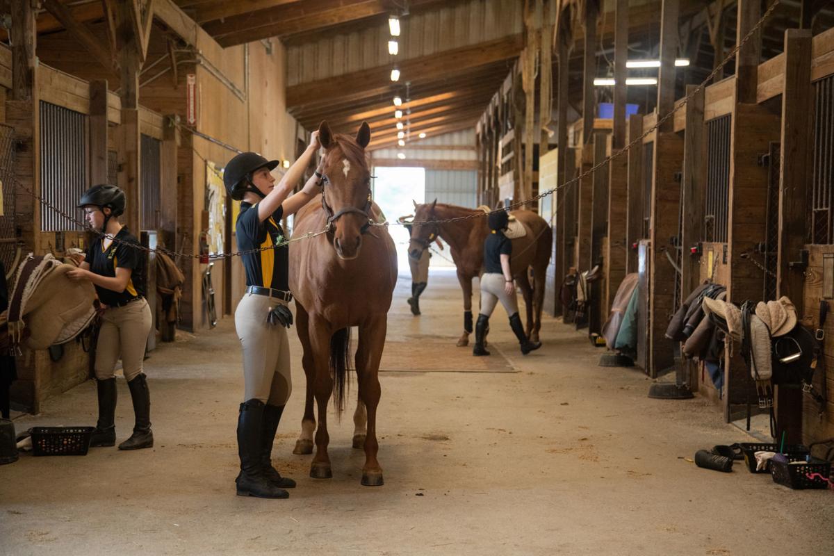 Randolph College sells Hawkins Mill Road equestrian facility for 1.3M Local News