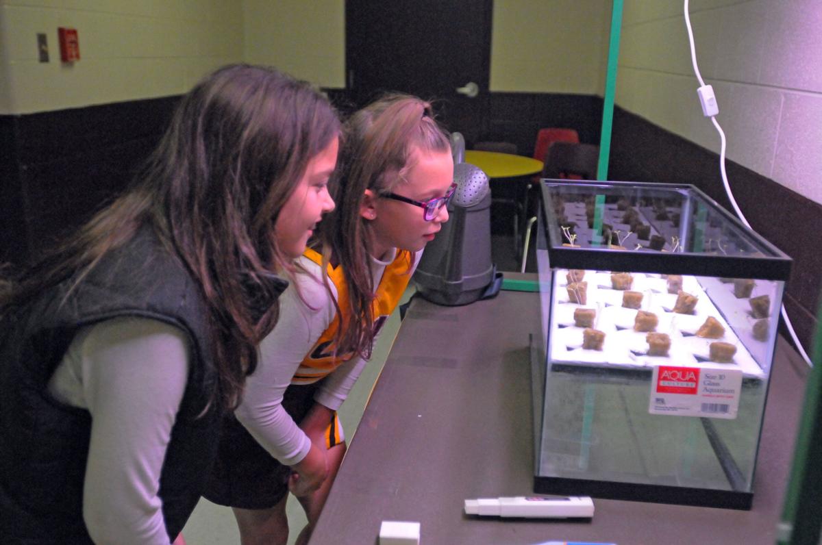 Hydroponic garden takes root at Leesville Road Elementary Local News