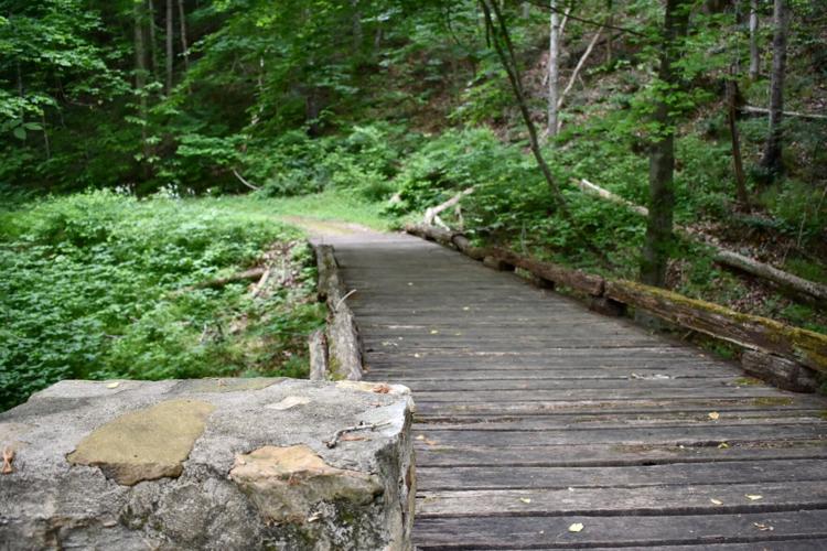 Explore Virginia Lynchburgarea getaways allow travelers and locals