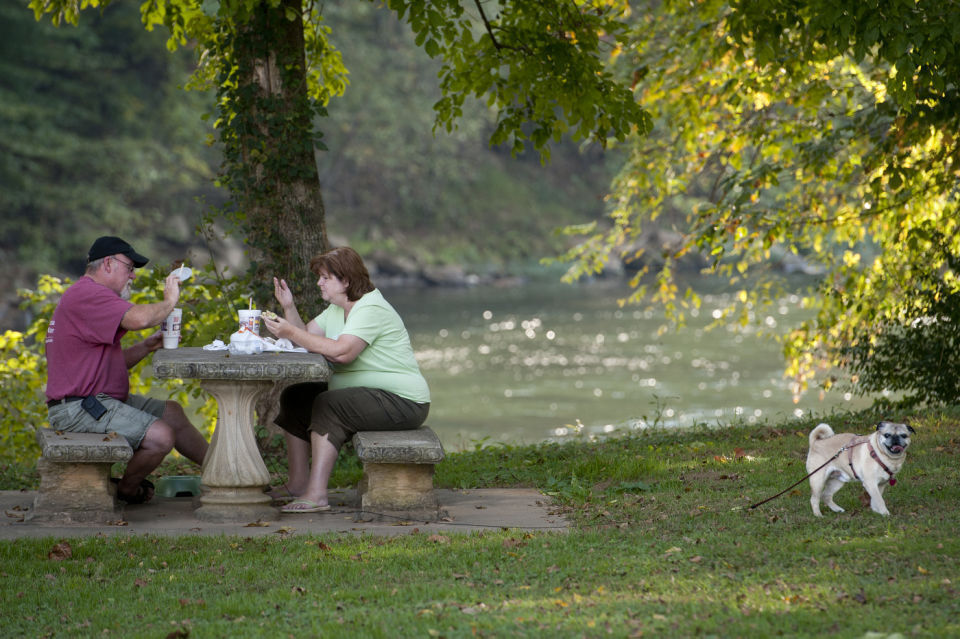 New pedestrian bridge to expand walking trails in Altavista's English Park