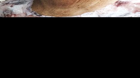 Arthur Marjorie Ann Margie Woods Obituaries Newsadvance Com