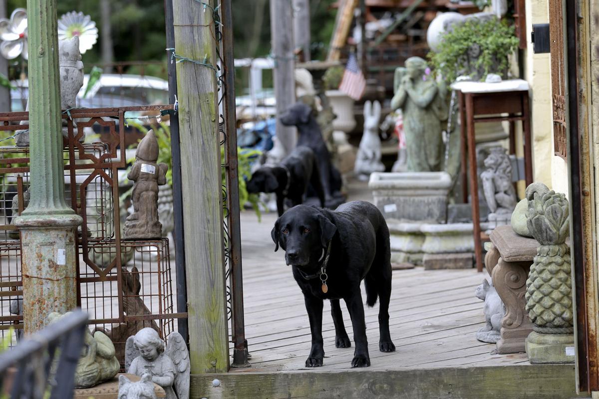 Gallery 'Salvage Dawgs' shows reality of Black Dog's business