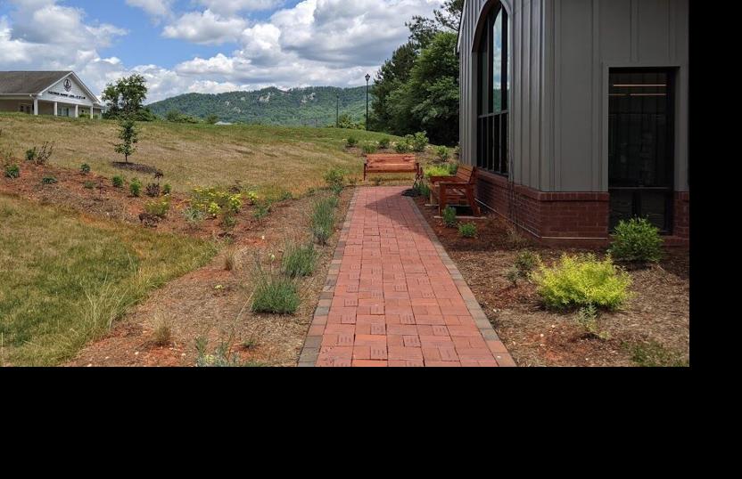 Garden 3
