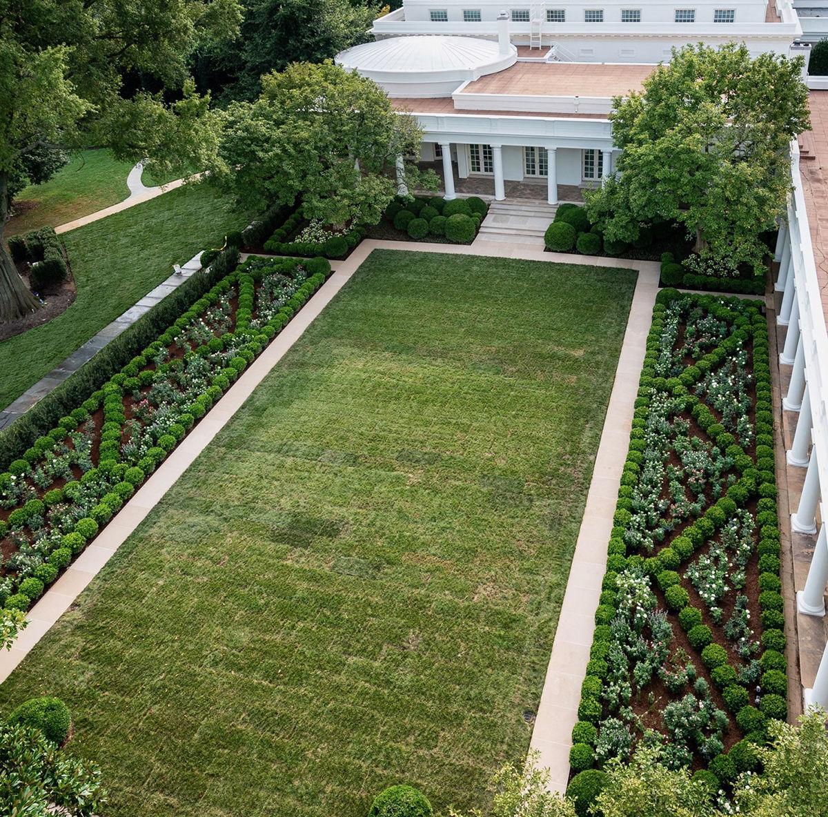 Your Little Place In Time Saunders Brothers Supplies Boxwood For Rose Garden Renovation Latest News Newsadvance Com