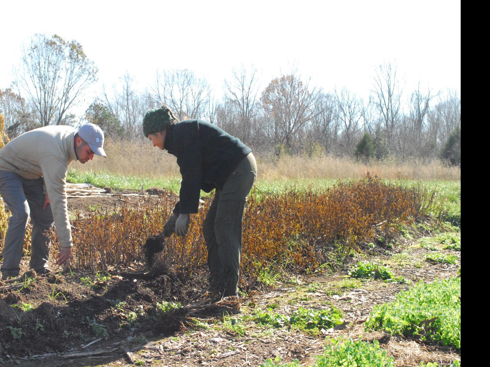 Bedford Flower Farm Aims To Create Meaningful Jobs For People With Autism Local News Newsadvance Com