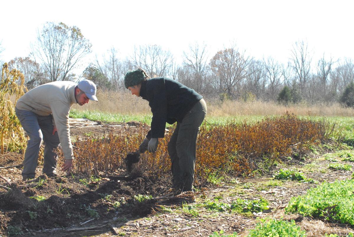 Little Otter Flower Farm