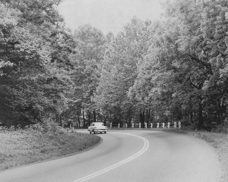 1963 Mystery Picture