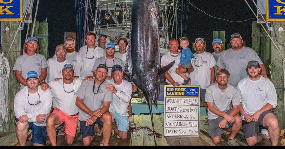 N.C. boat loses out on $3.5 million at Big Rock Blue Marlin tourney after  disqualification for apparent shark bite