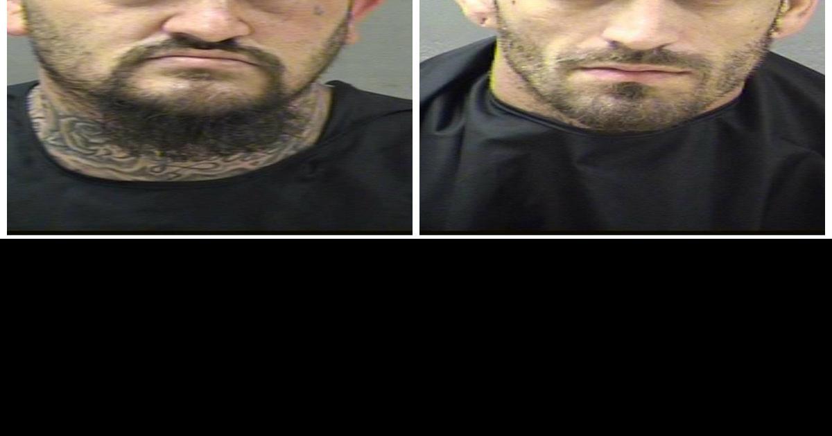 Two arrested after earlymorning police pursuit in Lynchburg, Campbell