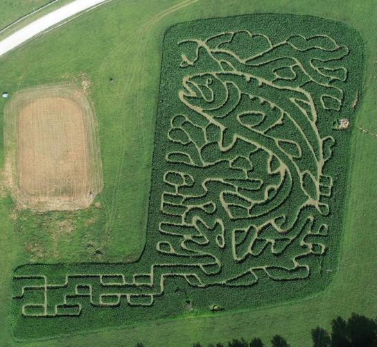 Blue Ridge Mountain Maze