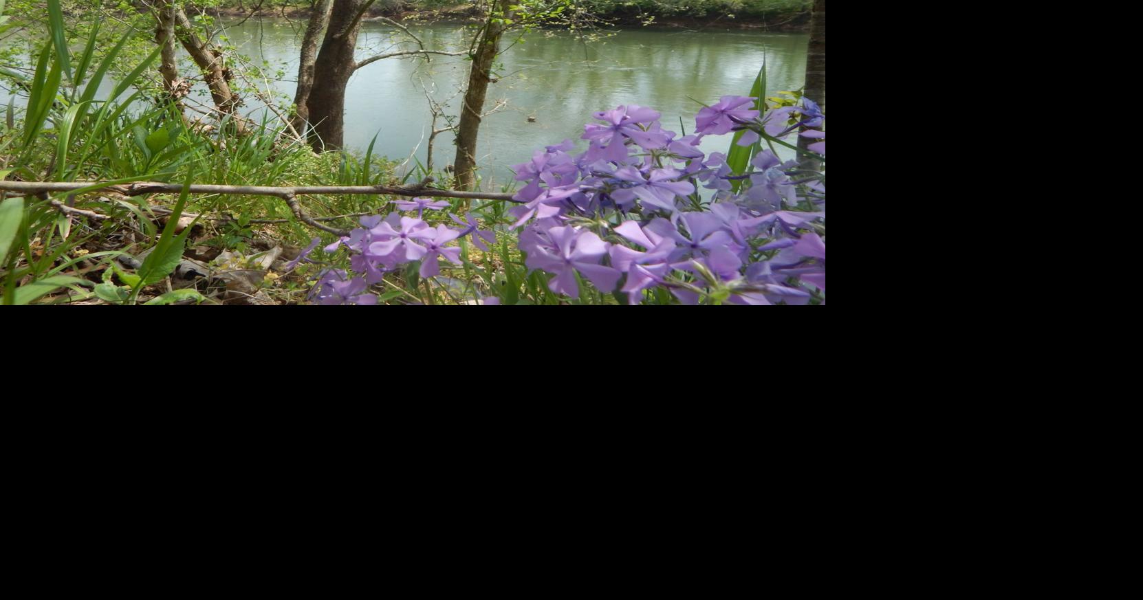 Altavista Town Council gets update on planned canoe launch