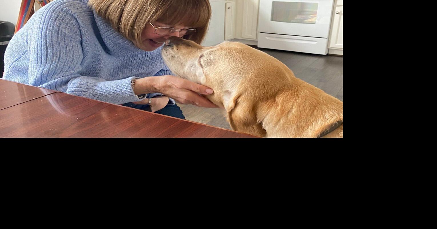 Writer the service dog retiring