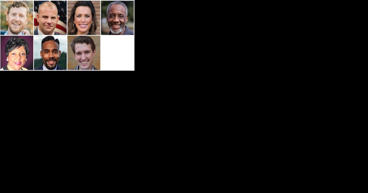 Lynchburg gears up for highly anticipated city council elections - Vimarsana News