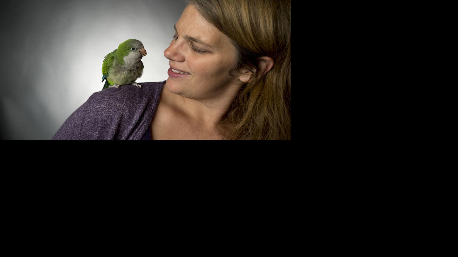 Simon Column Flying Insects Can Put Parrot In A Hairy Situation From The Archives Newsadvance Com