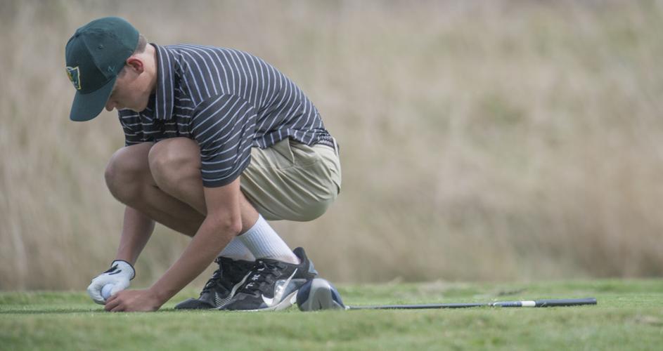 Nelson golf, 1