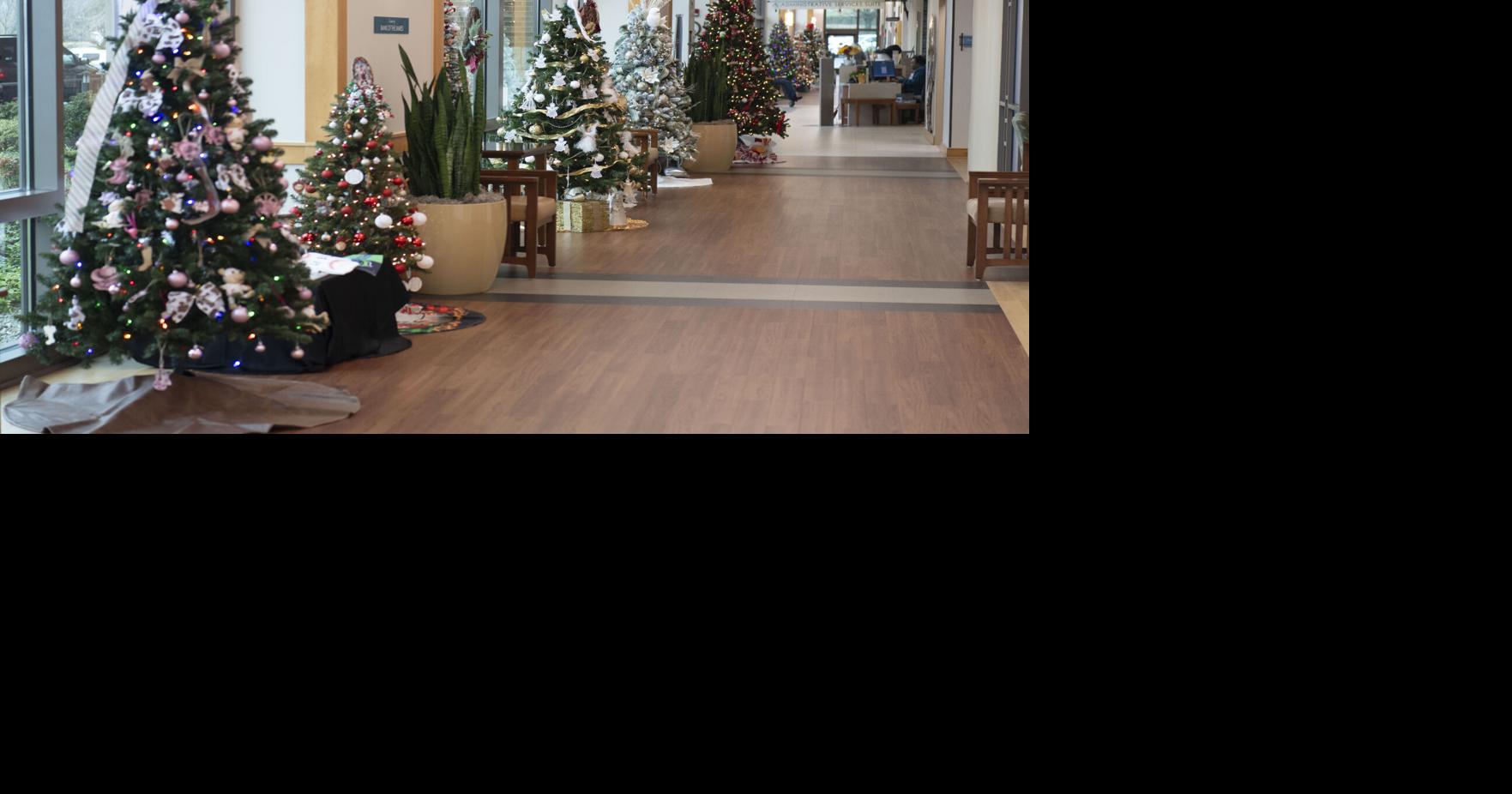 Tidings of hope Nov 30, 2025 6 mins ago