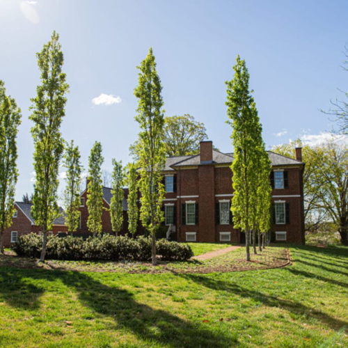 Lynchburg Celebrates Garden Week with a Full Itinerary