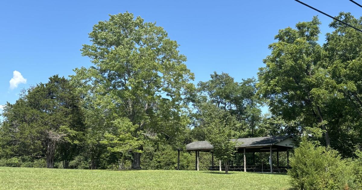 Amherst town park named ‘The Park on Main’ after survey
