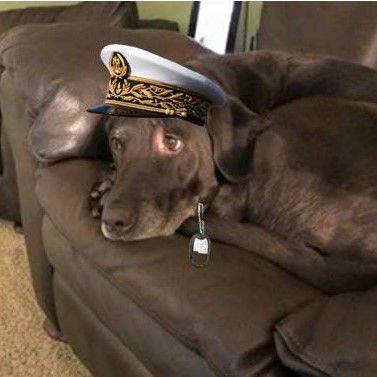 Nelson County Dog of the Week