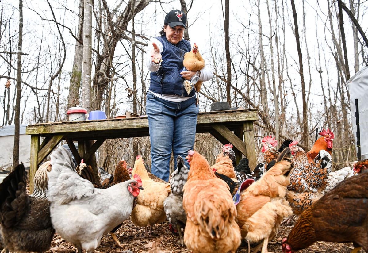 Birds of a feather Lynchburg driving instructor passionate about her flock