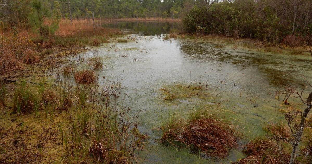 EPA, Army Corps leaders publish revised ‘WOTUS’ definition