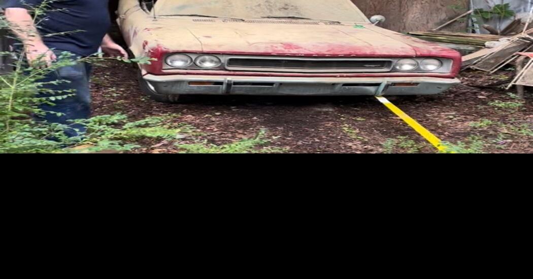 'Roadworthy Rescues' revives AMC dealership legacy Local News