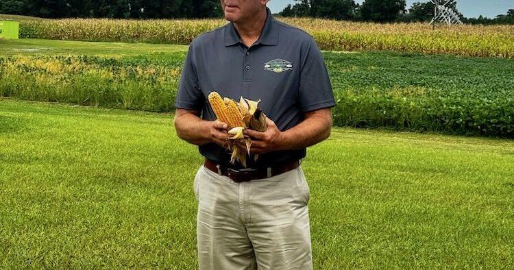 Overman farming roots run deep