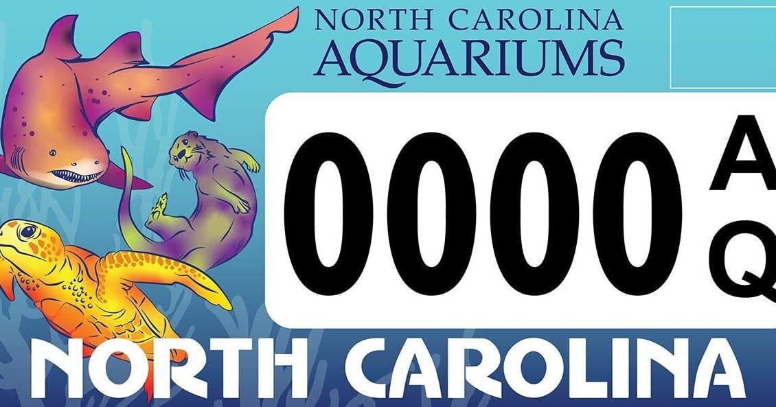 N.C. Aquariums specialty license plate now available through NC DMV