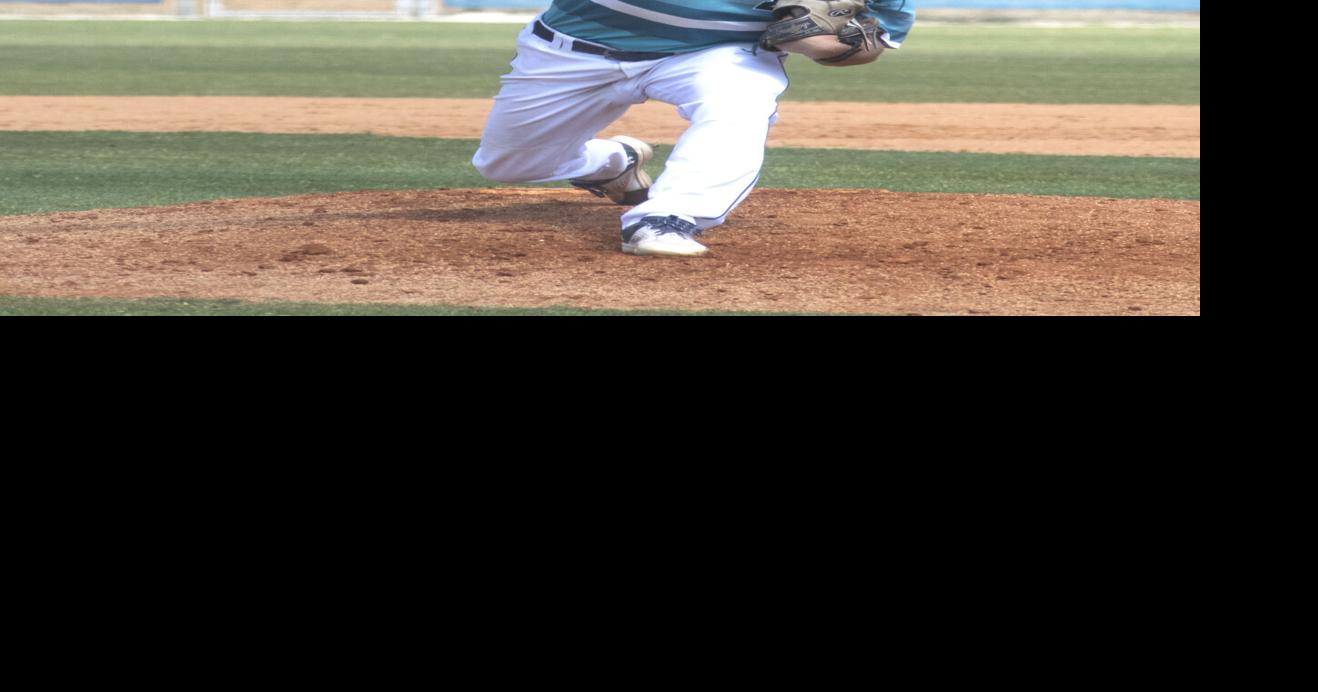 Dolphins baseball hits nine game win streak