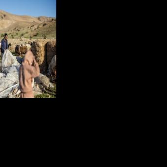 West Bank Bedouin community driven out by Israeli settler violence