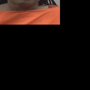 2 arrested on assault charges | Local News | newsargus.com